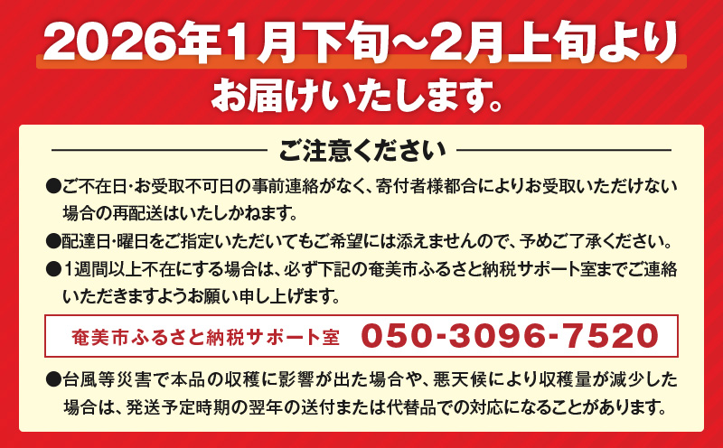 【2026年先行予約】奄美の島らっきょう 1kg　A139-002