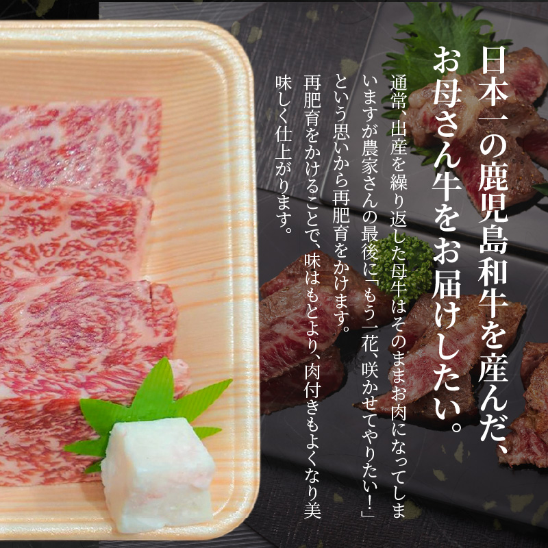 奄美マザービーフ ロースカットステーキ　A134-002