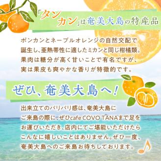 奄美産タンカンのクレームブリュレ（6個入り）　A071-001