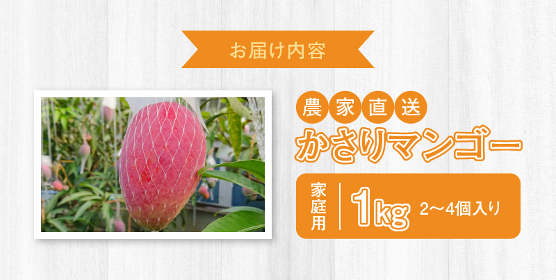 【2026年先行予約】【奄美産】かさりマンゴー家庭用1kg　A072-005
