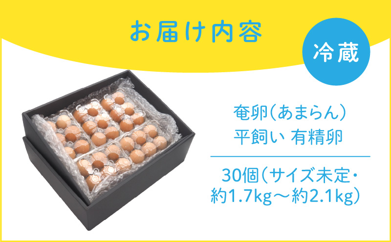 奄卵（あまらん）平飼い 有精卵 30個　A115-007