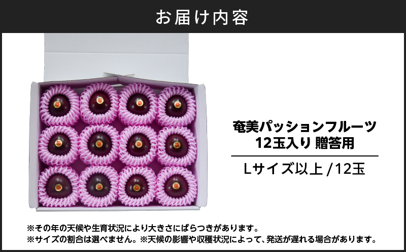 【2026年先行予約】奄美パッションフルーツ 贈答用 12玉入り　A135-007