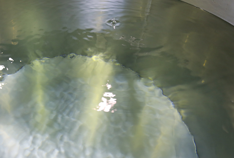 奄美黒糖焼酎 じょうご 25度 紙パック 1800ml×12本　A002-015