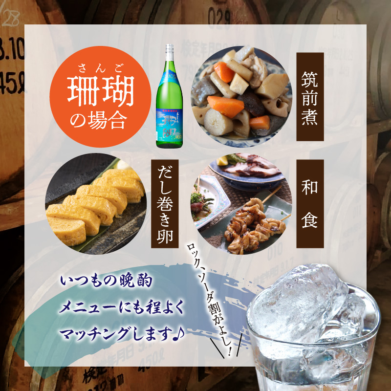 加那 30度・珊瑚 30度 一升瓶 飲みくらべ 2本セット　A004-001