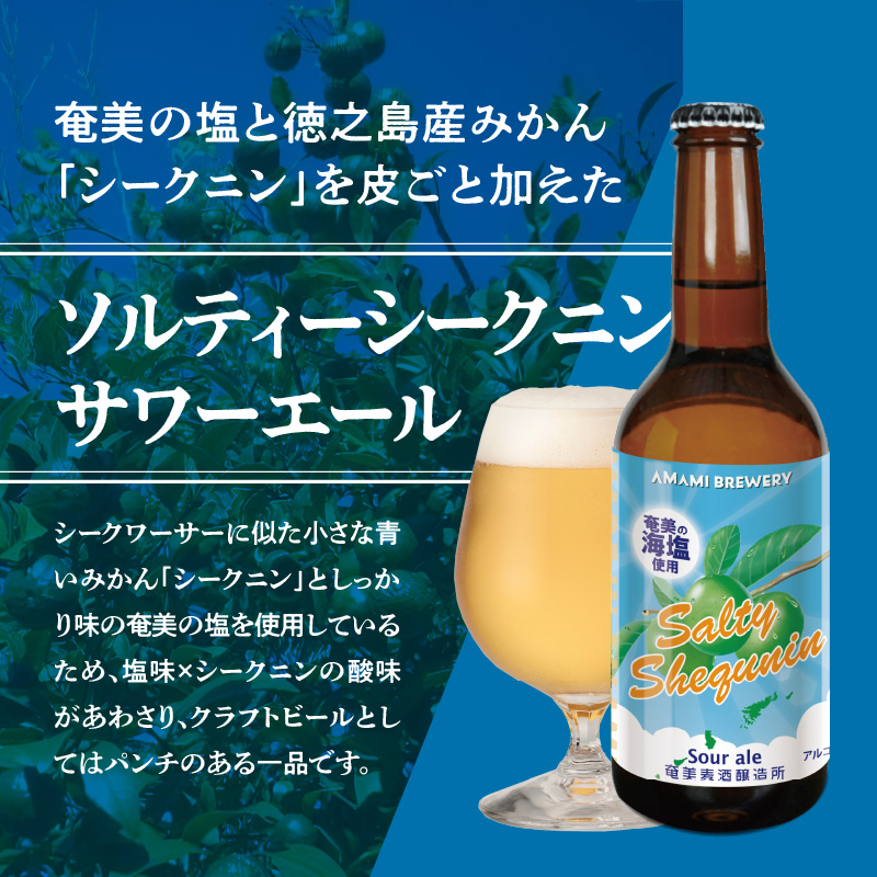 奄美クラフトビール＜4種 各3本＞12本セット　A126-006