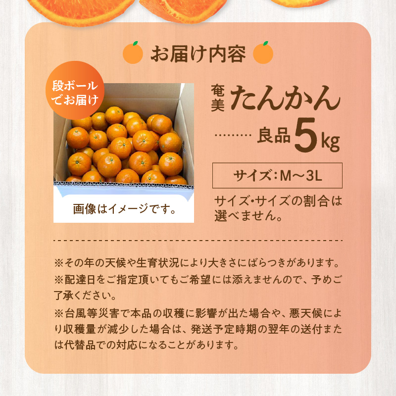 奄美たんかん良品 家庭用 5kg　A086-004