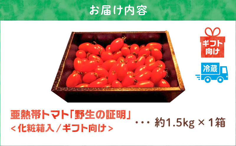【2026年先行予約】＜化粧箱入/ギフト向け＞ 亜熱帯トマト「野生の証明」約1.5kg　A021-001