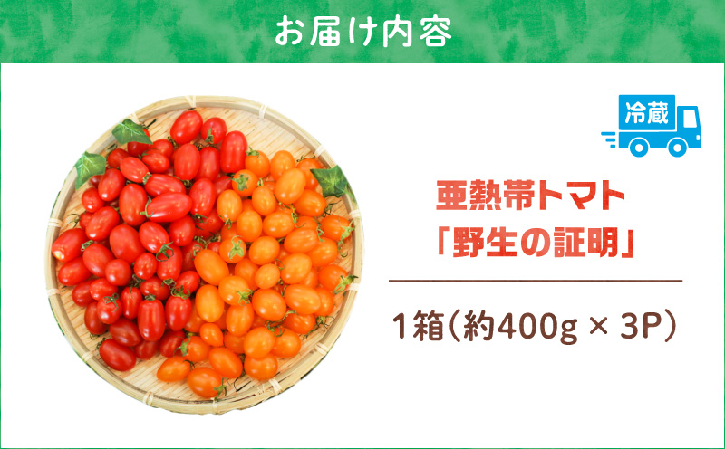【2026年先行予約】亜熱帯トマト「野生の証明」約1.2kg（約400g×3P）　A021-002