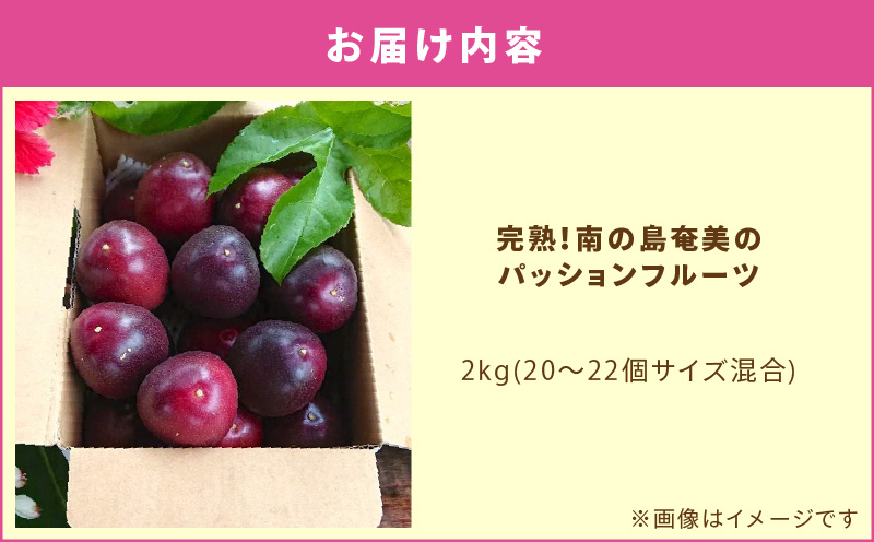 【2026年先行予約】完熟！南の島奄美のパッションフルーツ 2kg箱（20～22個サイズ混合）　A151-001