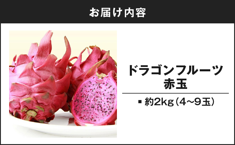 【2026年先行予約】奄美産ドラゴンフルーツ 赤玉 2kg　A145-008