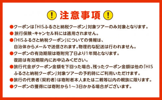 鹿児島県奄美市の対象ツアーに使えるHISふるさと納税クーポン 寄附額20,000円　HIS02