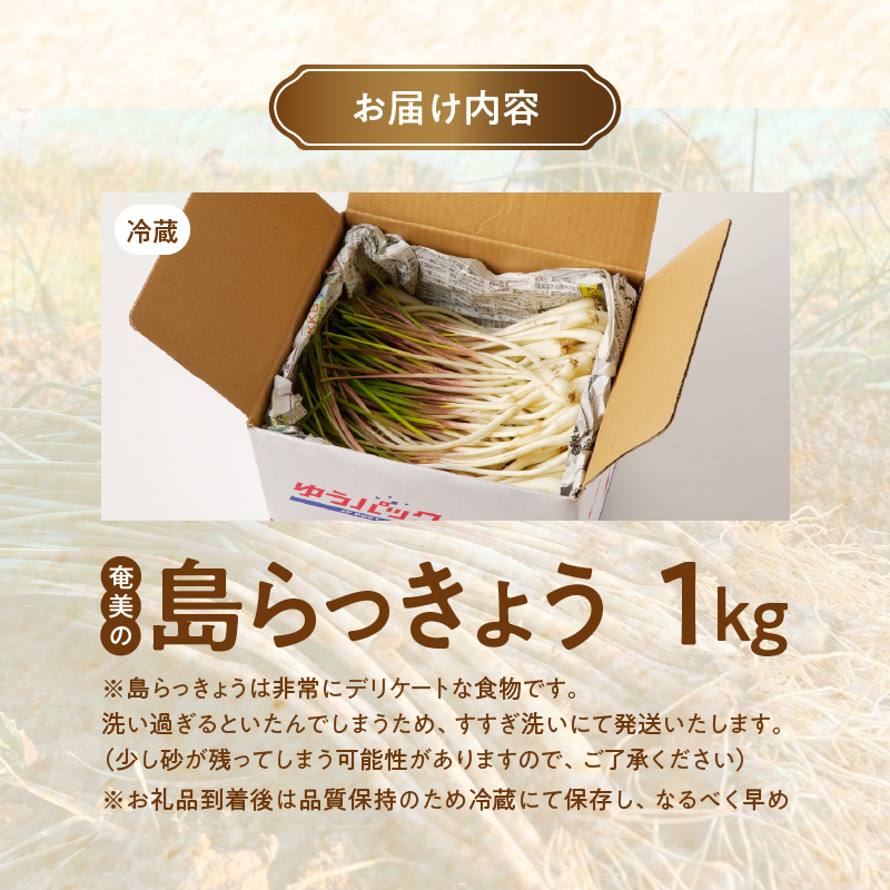 【2026年先行予約】奄美の島らっきょう 1kg　A139-002