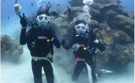 奄美島 体験ダイビング（1名様）　A108-003