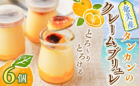 奄美産タンカンのクレームブリュレ（6個入り）　A071-001