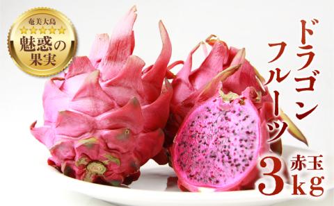 【2026年先行予約】奄美産ドラゴンフルーツ 赤玉 3kg　A145-007