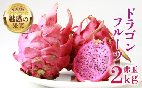 【2026年先行予約】奄美産ドラゴンフルーツ 赤玉 2kg　A145-008