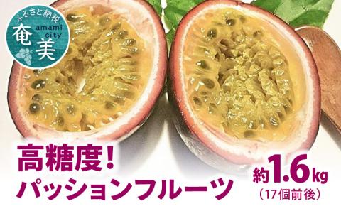 【2026年先行予約】高糖度パッションフルーツ 約1.6kg　A059-005