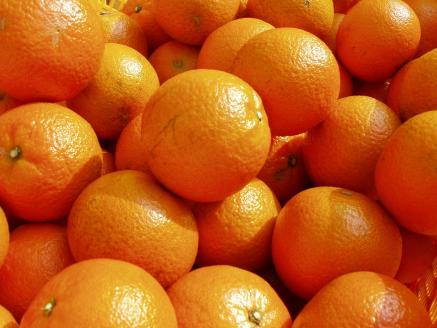 【2026年発送 先行予約】奄美たんかん 自家用（良品）5kg　A070-009