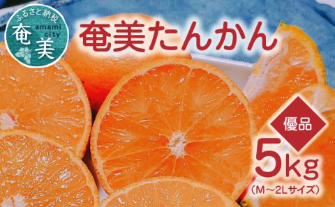 【2026年先行予約】奄美タンカン 優品 5kg（2L～Mサイズ）　A074-002