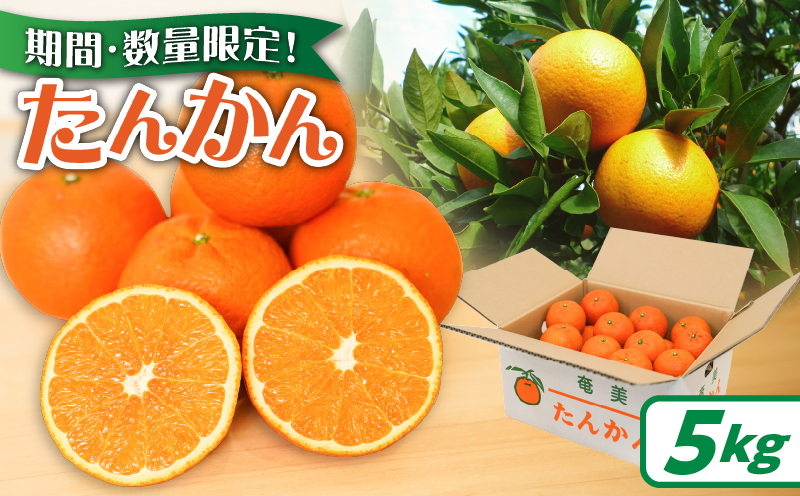 【2026年度先行予約】たんかん5kg　A021-027