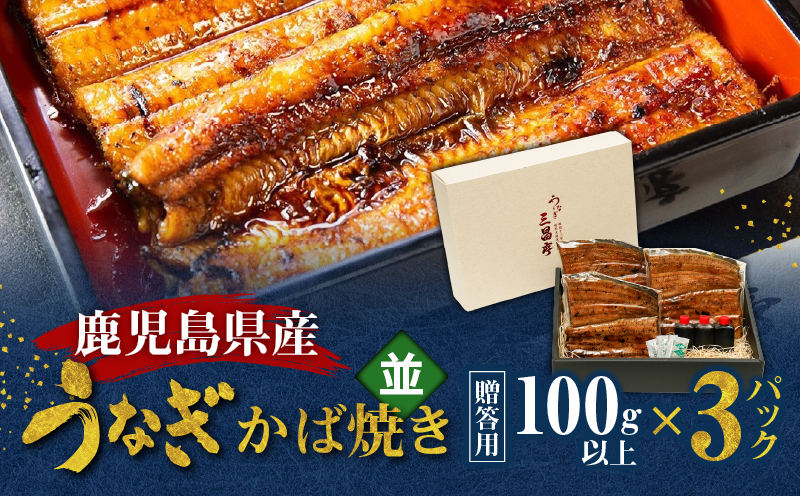 鹿児島県産！老舗うなぎ屋のうなぎのかば焼き3尾（並・100g以上×3パック）【贈答用】　A040-009-03