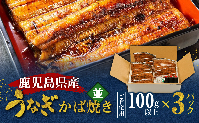 鹿児島県産！老舗うなぎ屋のうなぎのかば焼き3尾（並・100g以上×3パック）【ご自宅用】　A040-009-07