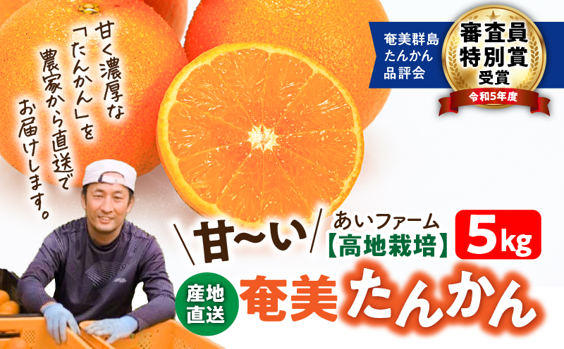 【2026年先行予約】【高地栽培】産地直送☆甘～い奄美たんかん 5kg　A054-001