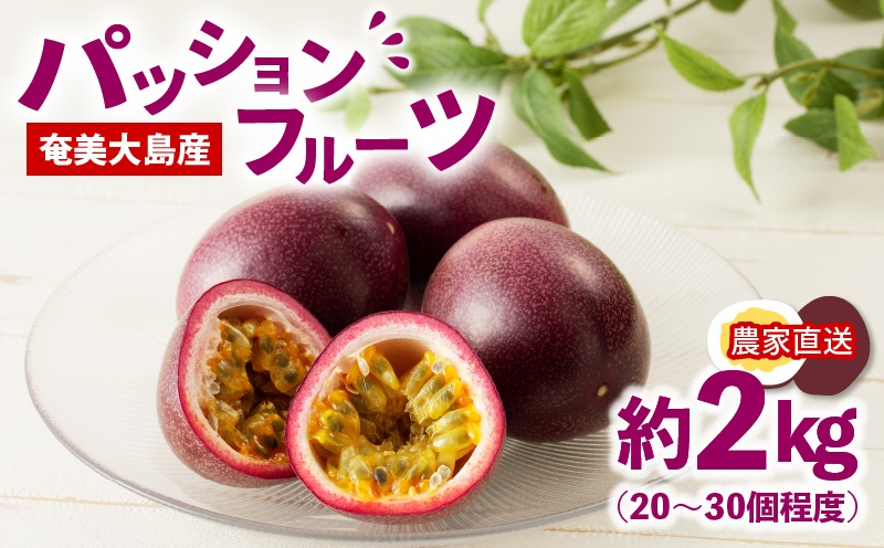 【2026年先行予約】奄美大島産パッションフルーツ約2kg　A054-002
