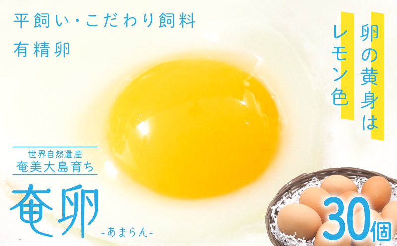 奄卵（あまらん）平飼い 有精卵 30個　A115-007