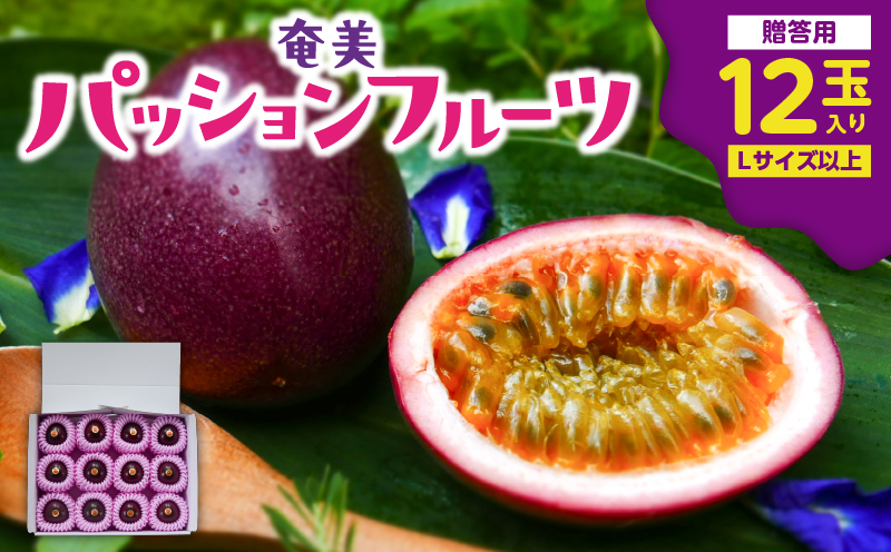 【2026年先行予約】奄美パッションフルーツ 贈答用 12玉入り　A135-007