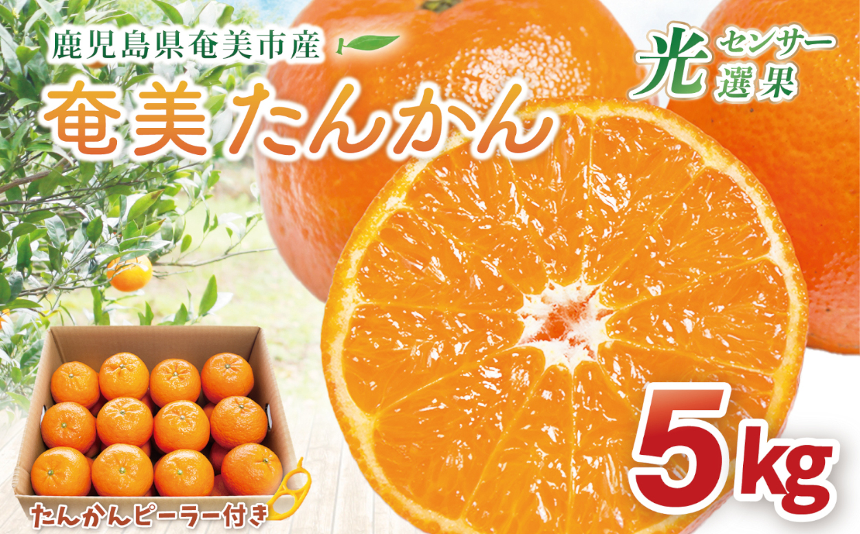 【2026年先行予約】【奄美大島産】おいしい完熟たんかん 光センサー選別 5kg　A145-002