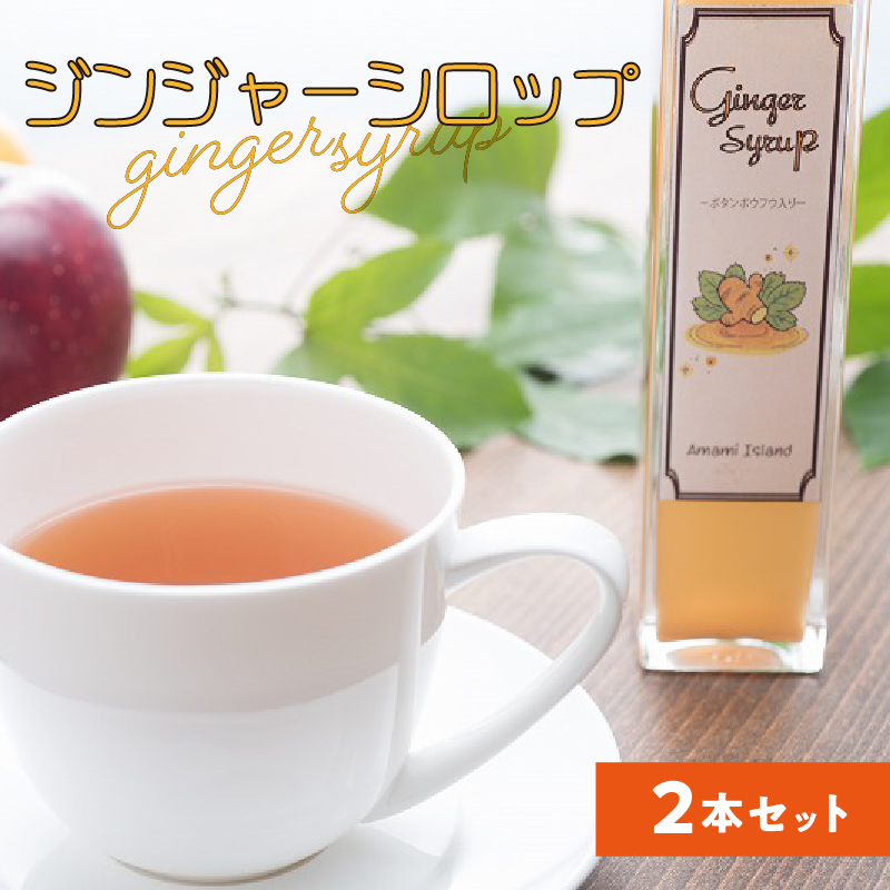 ジンジャーシロップ 2本セット　A006-007