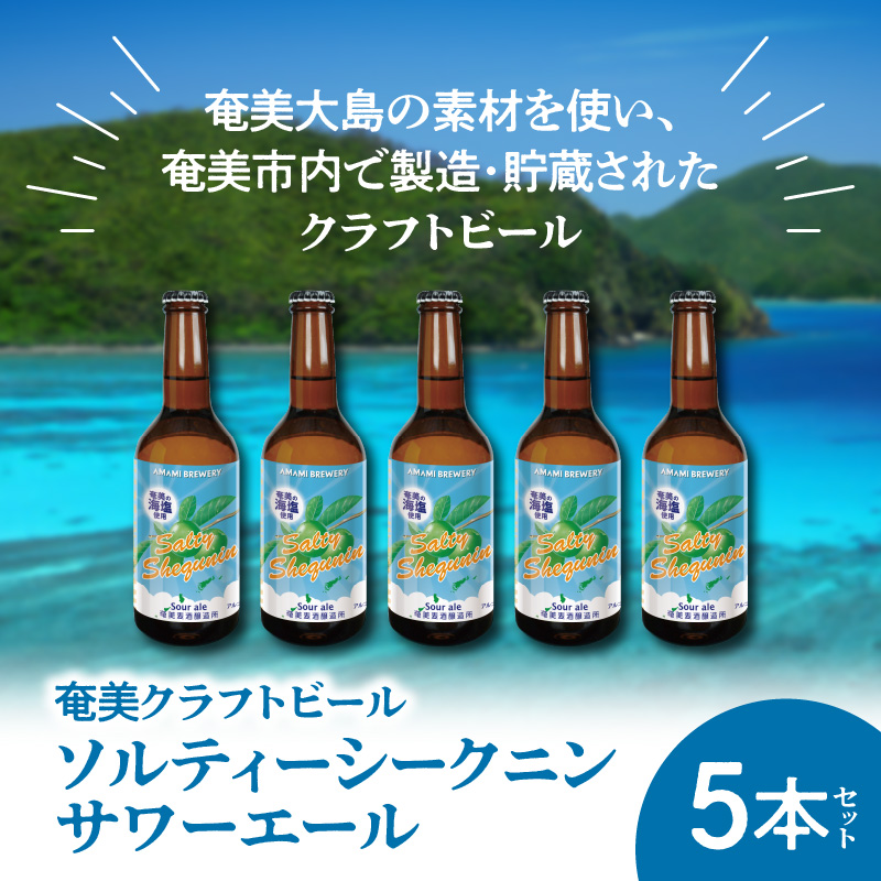 奄美クラフトビール＜ソルティーシークニンサワーエール＞5本セット　A126-004