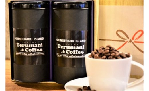 【人気の定期便 3ヶ月コース】自家栽培・自家焙煎【てるまに珈琲】スペシャルブレンドコーヒーギフトセット＜粉＞　A075-T01-02