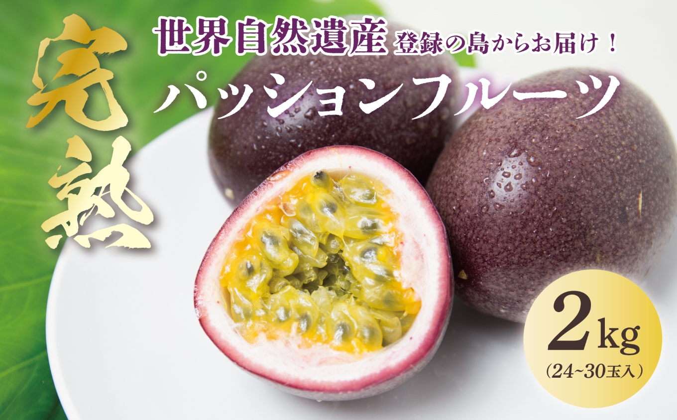 【2026年先行予約】《奄美大島産パッションフルーツ》家庭用2kg（24～30玉入り）　A145-006