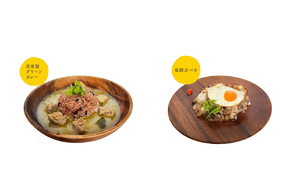 自家製グリーンカレー＆島豚ガパオセット　A129-002