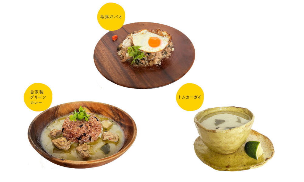 自家製グリーンカレー＆トムカーガイ＆島豚ガパオセット　A129-004