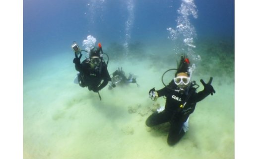 【Cカード（ダイビング免許）取得者限定】ファンダイビング 2本（大人1名様）　A108-002
