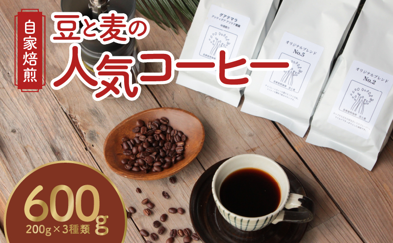 [自家焙煎]豆と麦の人気コーヒー200g×3種類セット(粉)