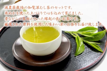 002-01 お茶で健康一番!知覧厳選緑茶5本セット