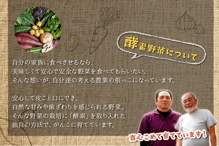 004-04 酵素栽培人参ジュース720ml×2本