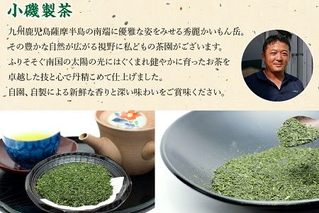 005-01 知覧銘茶 かいもんみどり5本セット