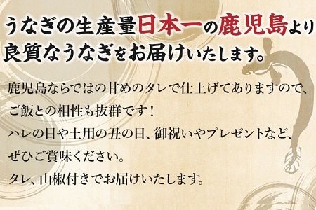 008-55 鹿児島県産うなぎ蒲焼2尾