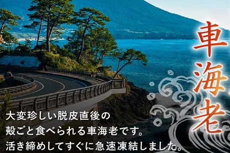 016-02 殻ごと食べられる冷凍車海老　300gパック