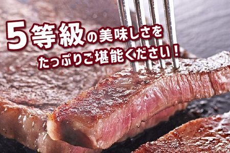 027-28 鹿児島県産黒毛和牛5等級ロースステーキ2枚