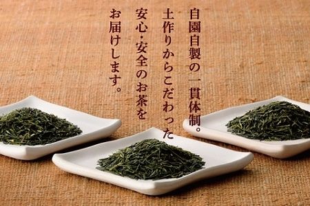 049-01 おりた園特上深蒸し茶3本セット