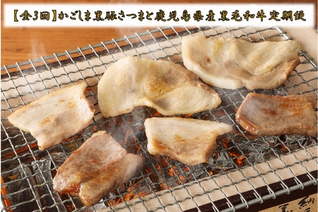 【全3回】かごしま黒豚さつまと鹿児島県産黒毛和牛定期便 080-22