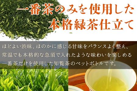 051-01 かごしま知覧茶ペットボトル24本