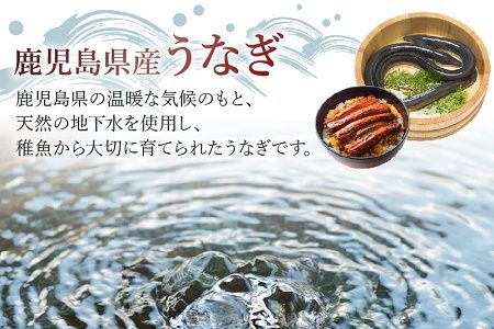 062-3-05 鹿児島県産うなぎ蒲焼1尾&きざみうなぎセット