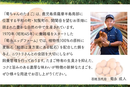 042-03 菊ちゃんのたまご10個入×6パック